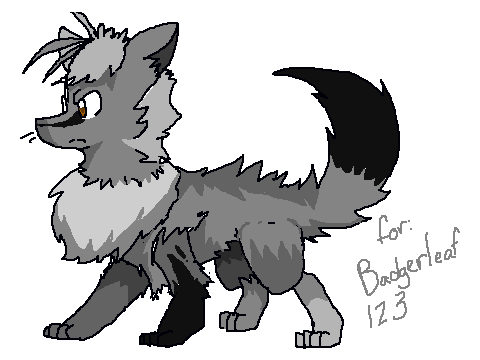 for badgerleaf123