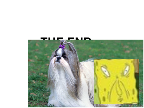 Meme-o-Mania (More coming soon...)