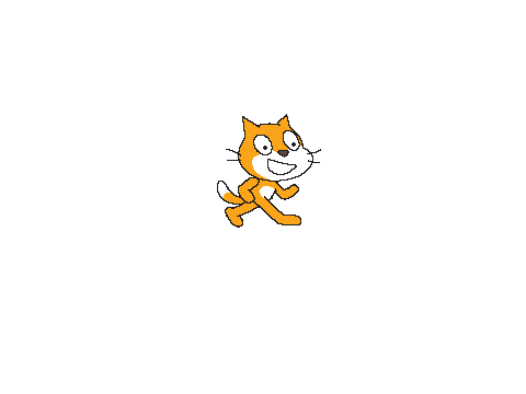 funny cat 6