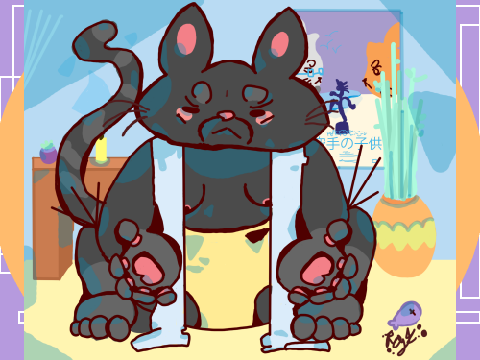 sumo ((my cat))