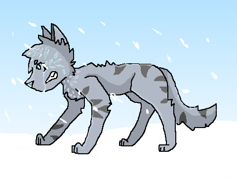 Run like a River cat CCE