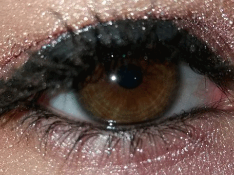 < Morph 1 - Lagarto >