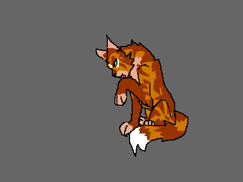 Cat Animations