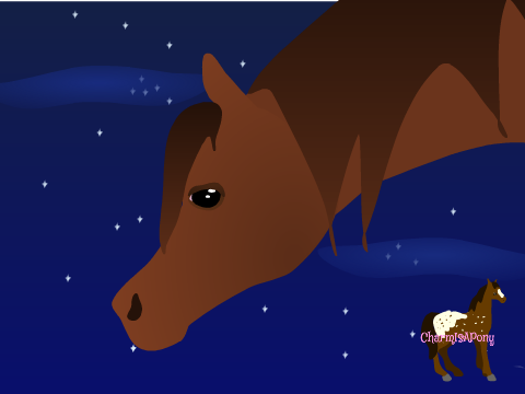 Horse 