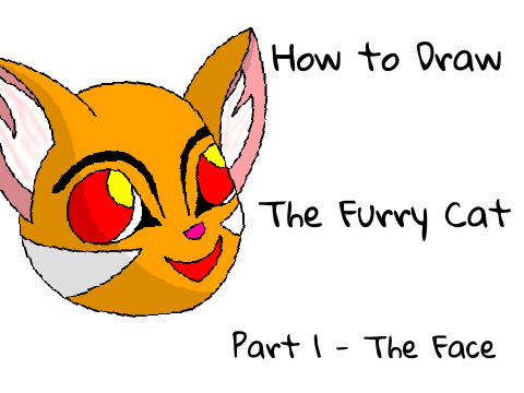 How to Draw a Furry Cat - Part 1