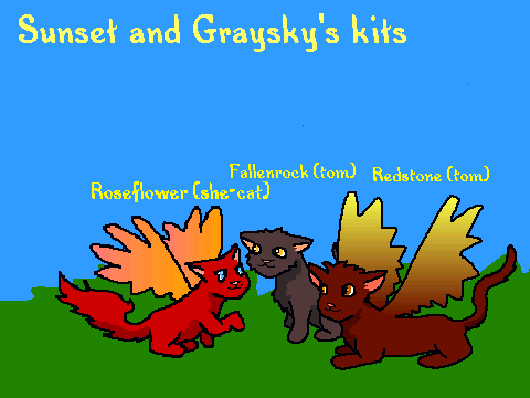 sunset's kits