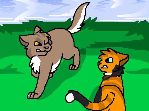 Maple and Willow