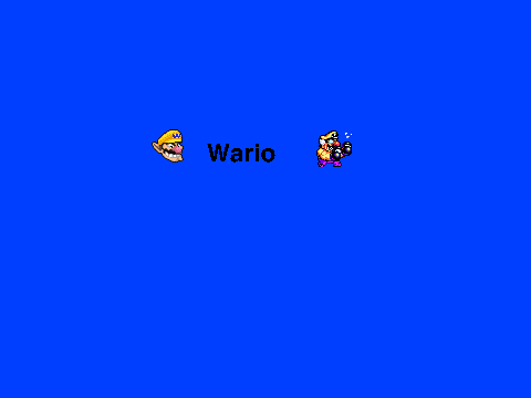 Mario Series As Wario