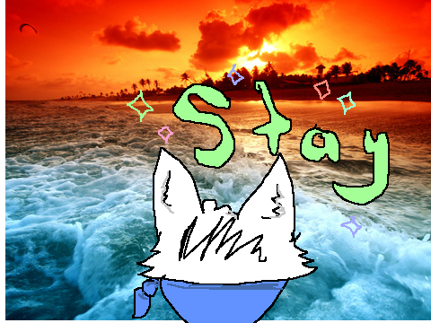 <> STAY! <> |meme|  remix