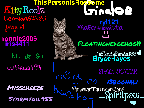 Please sign here to stop cat cruelty. (Remix and add username) remix remix remix remix remix … remix