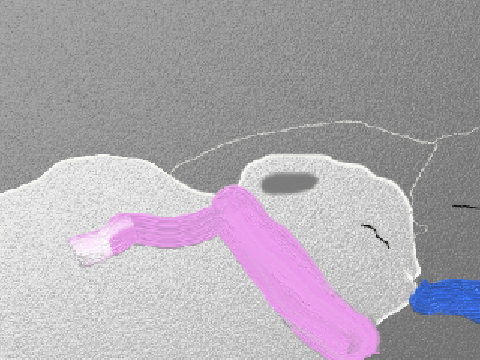 Tip of the Iceberg Winter Open MAP  part ...