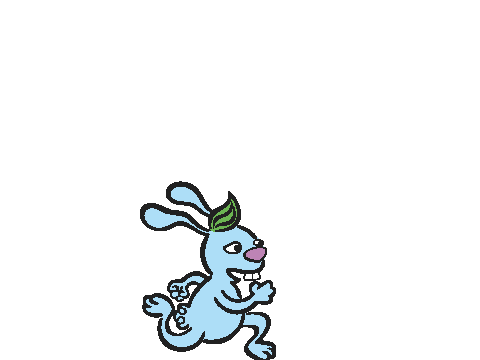 bunny