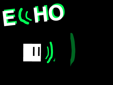 Echo