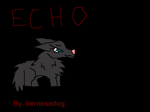 ECHO