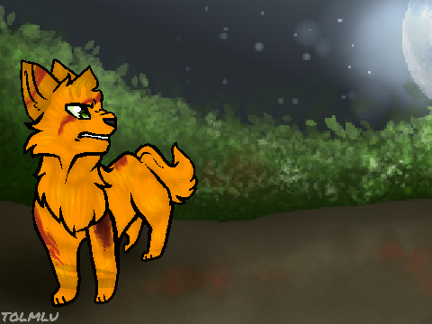 Thumbs - Silly Warrior Cats MAP [part23]
