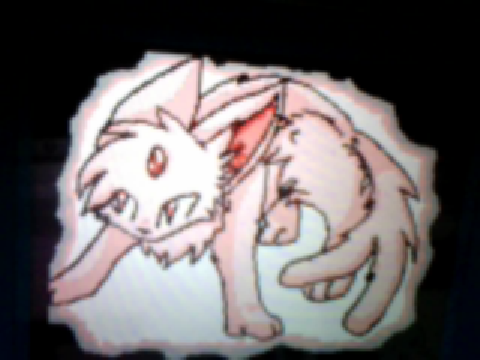 Willowbreeze's DSi Drawings!