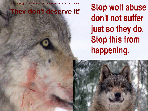 Save the wolves!!!!!!!!!!!!!!!!!!!!!!!!!!!! remix remix