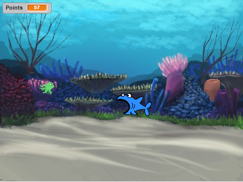 A Shark's Life