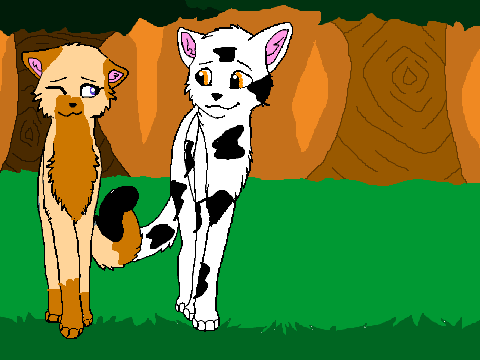 Candykit and Splashkit