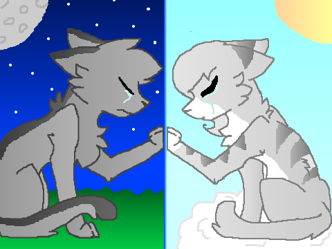 Love You Too Much- Greystripe X Silverstream