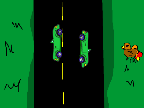 Why Did the Chicken Cross the road?