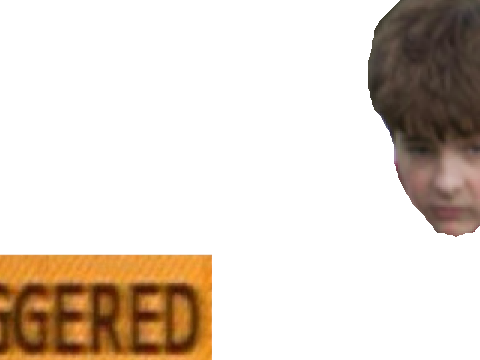 TRIGGERED2: THE SEQUEL