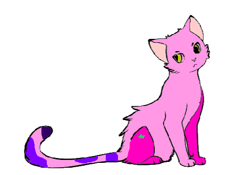 TwilightClan RoseKit