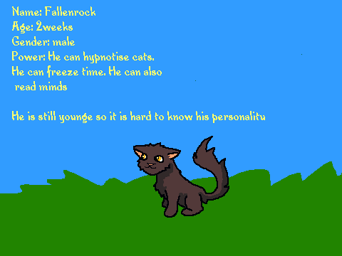 Fallenrock