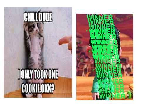 witch one?(ᵔᴥᵔ)
