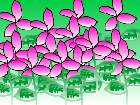 flowers in the meadow