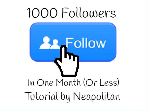 How To Get 1000 Followers In One Month!