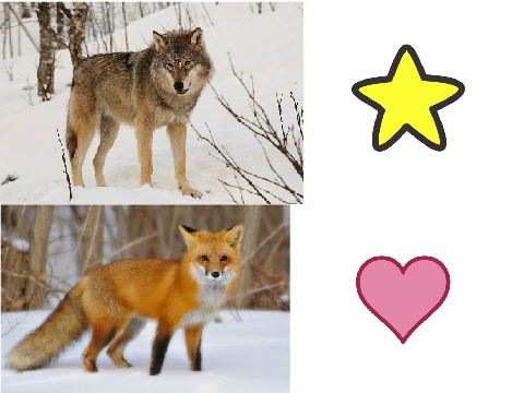 Wolves or Fox!