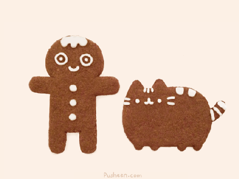 Pusheen and the Gingerbread!