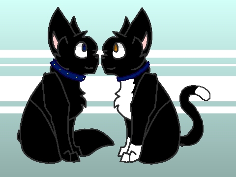 Warrior Cats