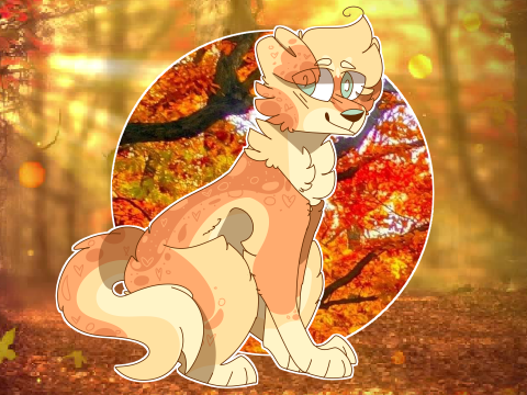 + weird autumn + dtae