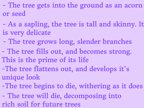 Lifecycle of a Tree