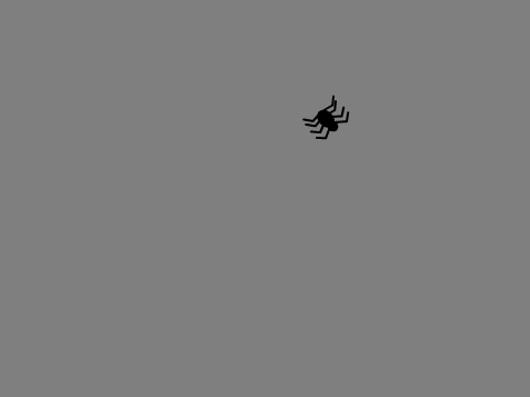 Spider Web (Pen) 