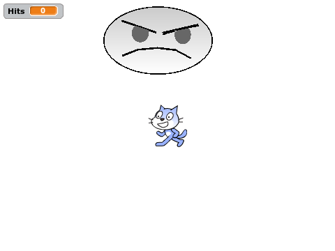 Sandbox Cat
