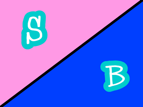 Sis Vs Bro
