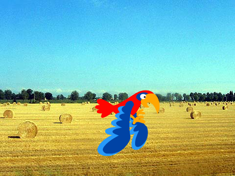 MovingAnimation
