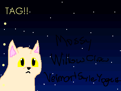 My Warrior Cats Meme