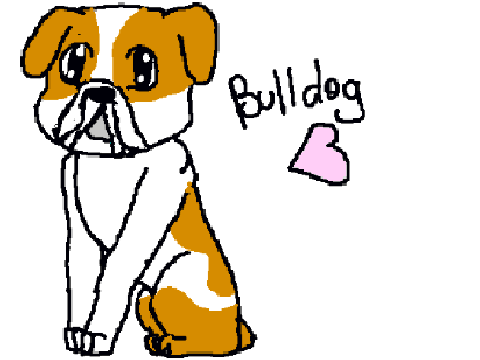 Bulldog for doggirl