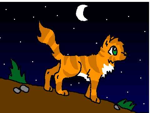 Cat colouring competittion
