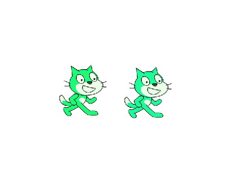 cursed cats