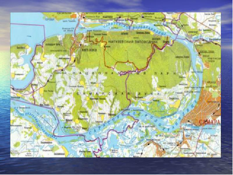 Тест-викторина -Разнообразие природы родного края- (Самарской области)-2