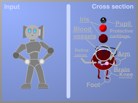Muscle Robot