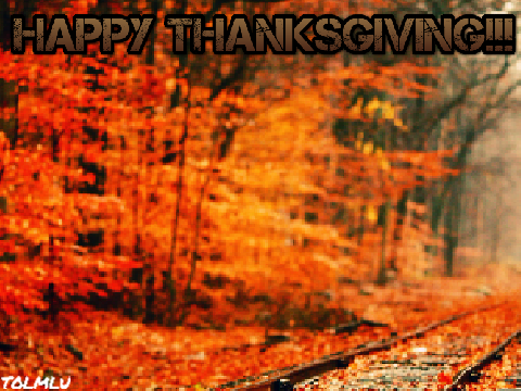 Happy Thanksgiving!