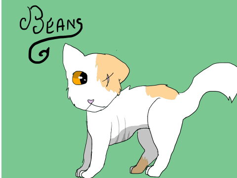 Scratched AUDITIONS Beans!!!