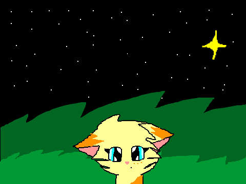 animation wind test