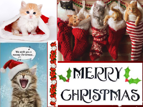 Merry Christmas 1